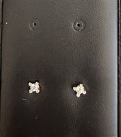Orecchini Polello Donna in Oro bianco Diamante E2968OB1
